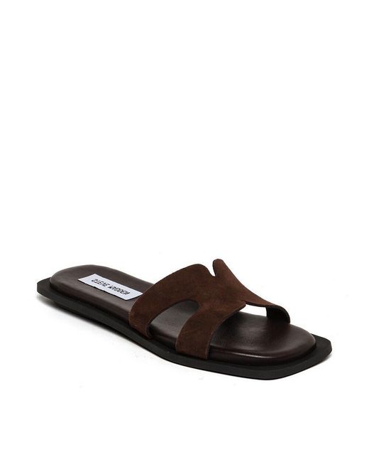 Steve Madden Brown Flat Sandals
