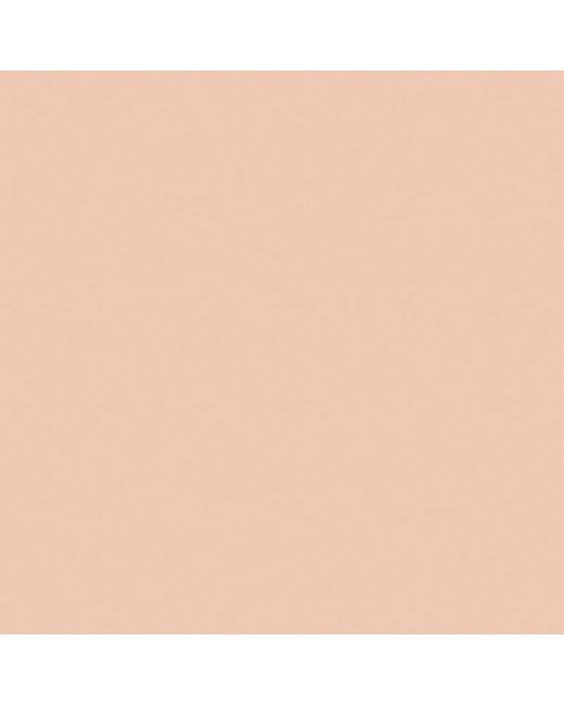 Dior Multicolor Backstage Face & Body Flash Perfector Concealer