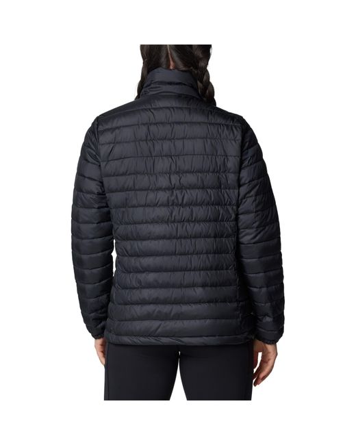 Columbia Black Chestnut Clearing Water-Resistant Lightweight Insulated Puffer Jacket