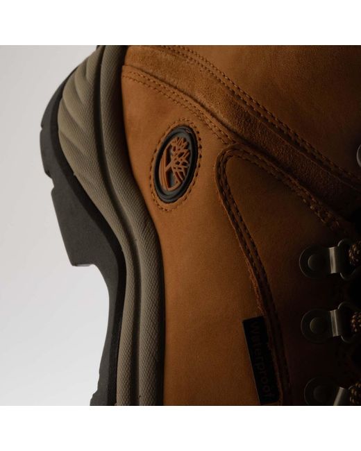 Timberland Brown Ledge Waterpoof Mid Hiking Boots for men