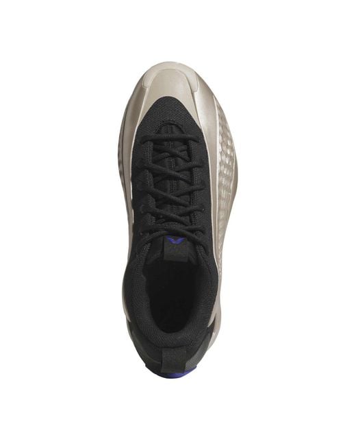 Adidas Gray Anthony Edwar for men