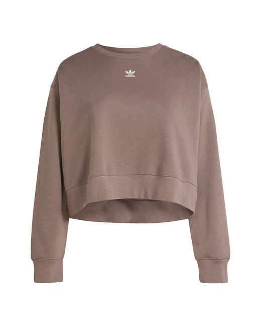 Adidas Originals Brown Adicolor Essentials Crew Sweatshirt (Plus Size)