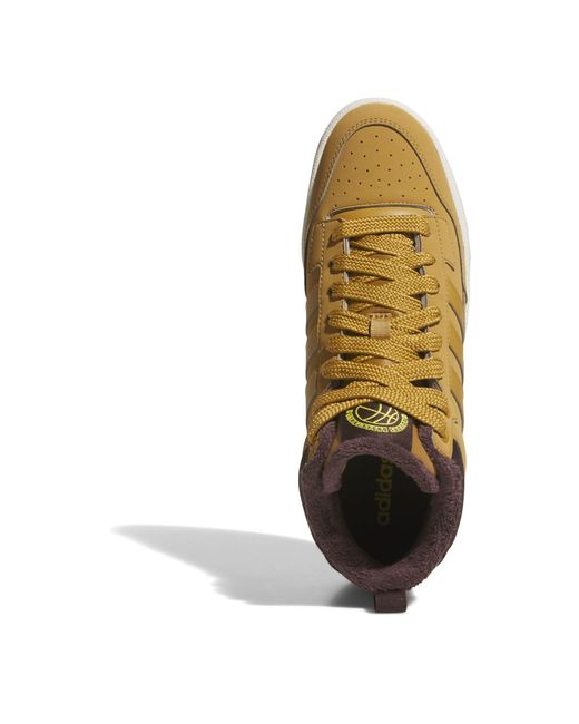 Adidas Brown Rcourt High-Top Trainers for men