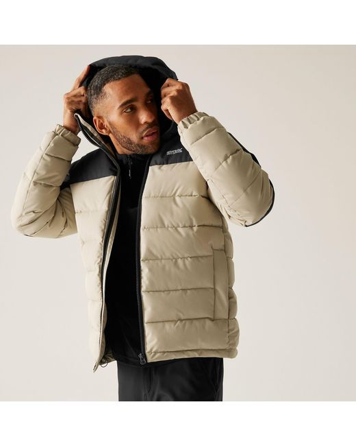 Regatta Multicolor Aldthorn Water-Resistant Quilted Jacket for men