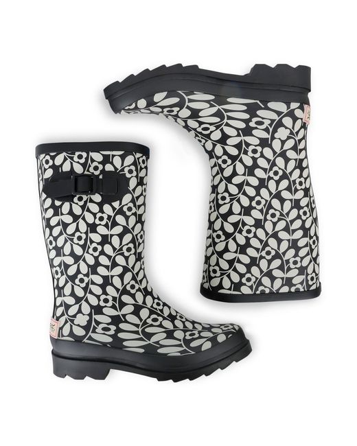 Regatta Blue Wellingtons