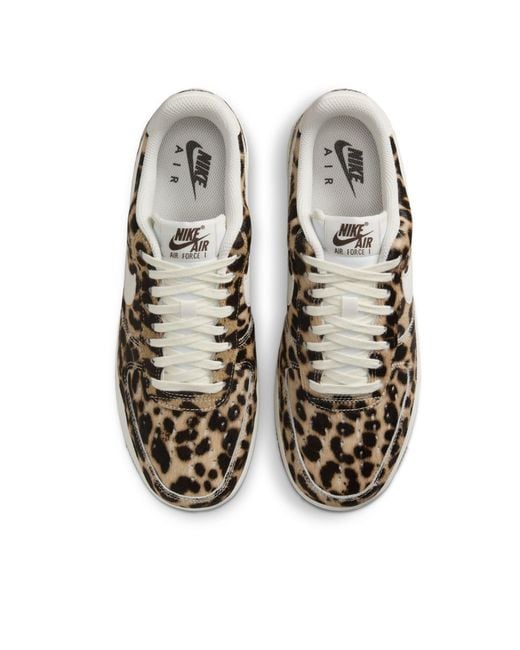 Nike Brown Low-Top Trainers