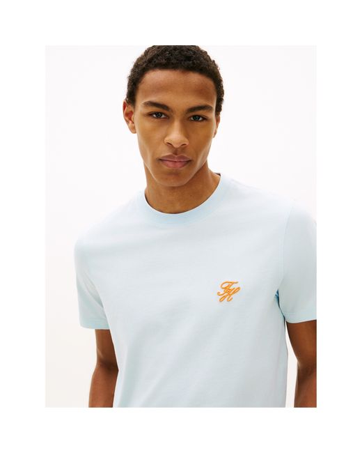 Tommy Hilfiger Blue T-Shirt for men
