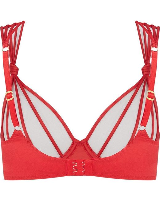 Agent Provocateur Multicolor Ozara Bra