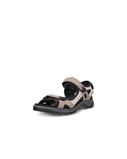 Ecco Brown Seasonal Walking Sandals