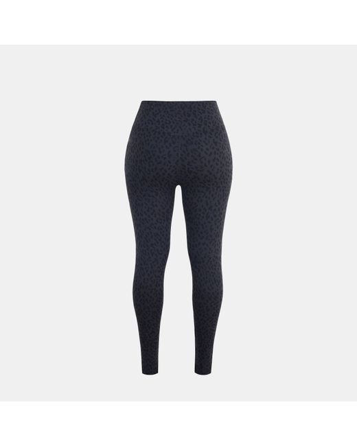 Miso Blue All Over Print Leggings