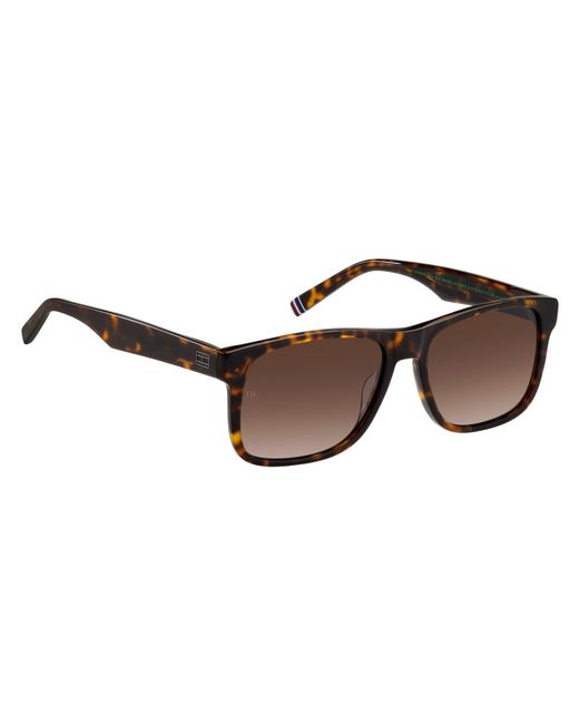 Tommy Hilfiger Brown Th 2073/S 086(Ha) for men