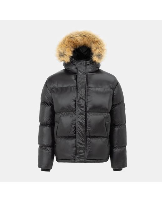 Loyalti Black Shadow Quilted Short Puffer Jacket for men