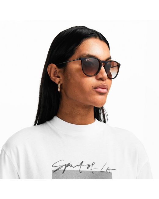 Ray-Ban Brown Round Sunglasses