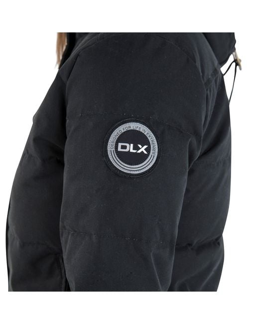 DLX Gray Kendrick Fitted Insulated Down Jacket