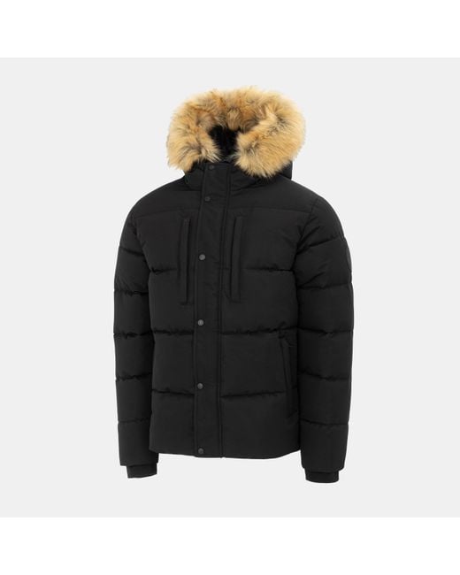 Pretty Green Black Pretty's Hooded Long Sleeve Short Puffer Jacket for men