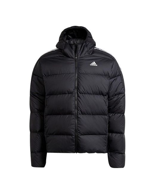 Adidas Black Essentials Midweight Down Hooded Jacket for men