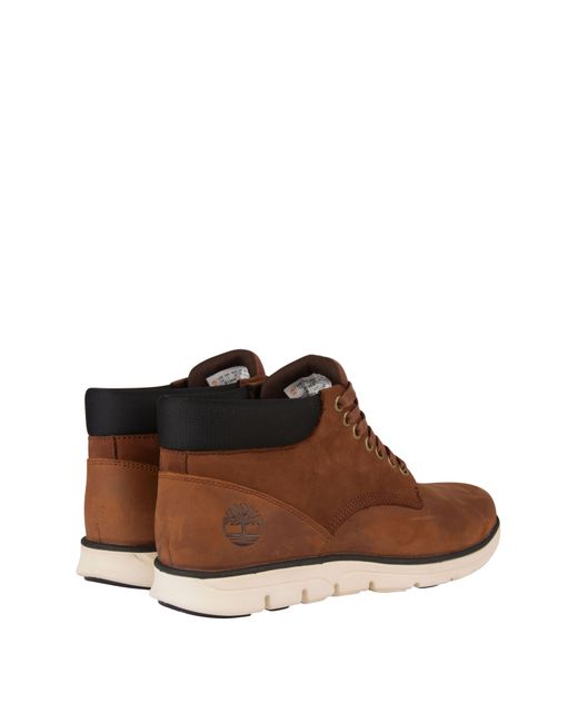 Timberland Brown Bradstreet Mid Lace for men