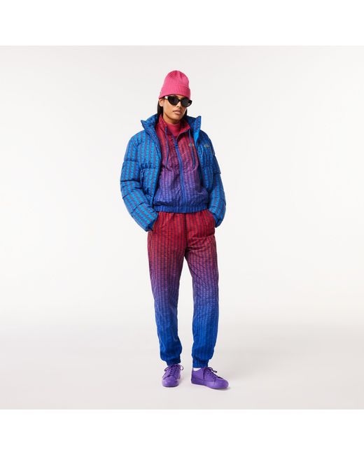 Lacoste Purple Blouson
