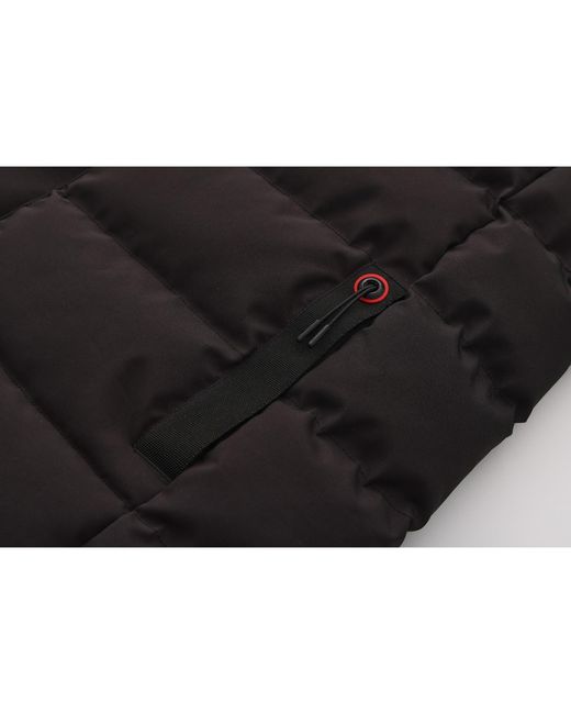 Loyalti Black Phantom Hooded Long Sleeve Synthetic Fill Short Puffer Jacket for men