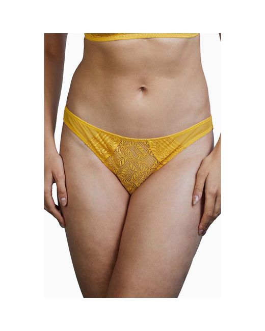 Playful Promises Orange Emma Mustard Brazilian Lace Brief