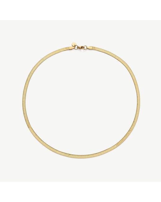 D.Louise Metallic Snake Chain Necklace