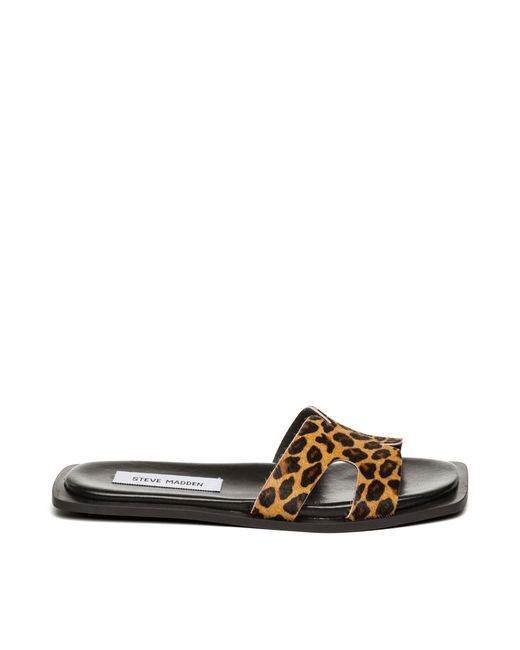 Steve Madden Brown Flat Sandals