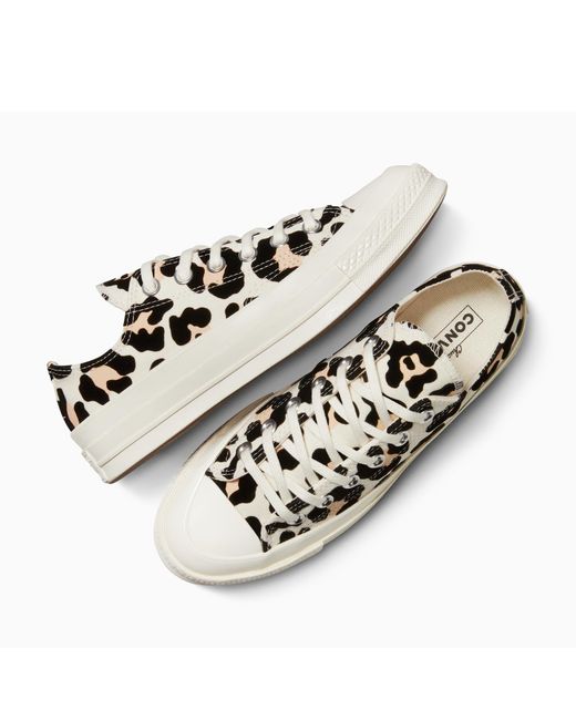Converse White Adults Chuck 70 Canvas Trainers