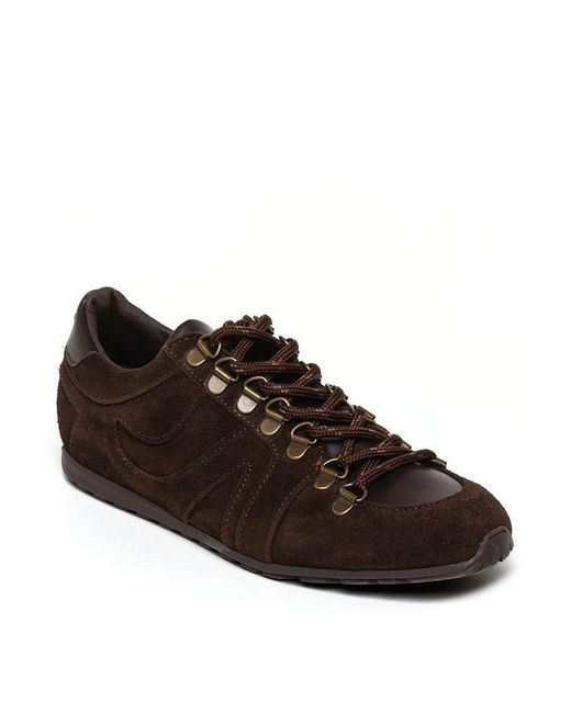 Steve Madden Brown Bless Low-Top Trainers