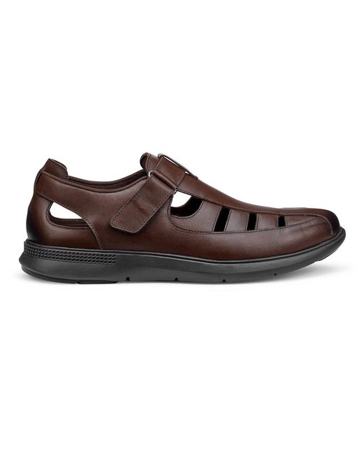 Hotter Brown Marlin Fisherman Inspired Shoes for men