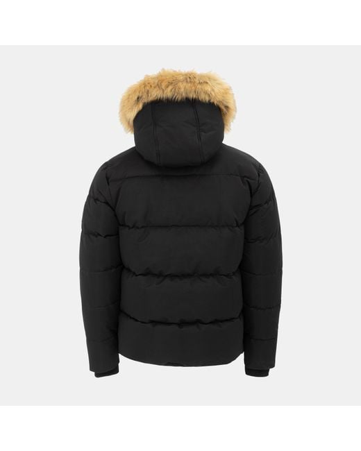 Pretty Green Black Pretty's Hooded Long Sleeve Short Puffer Jacket for men
