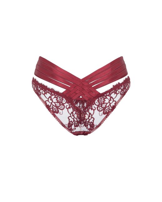 Agent Provocateur Red Dioni Full Brief