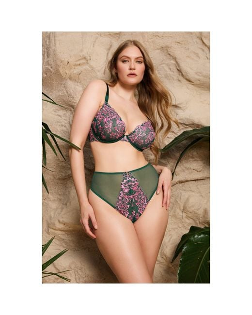 Playful Promises Multicolor Ada Blossom High Waist Thong