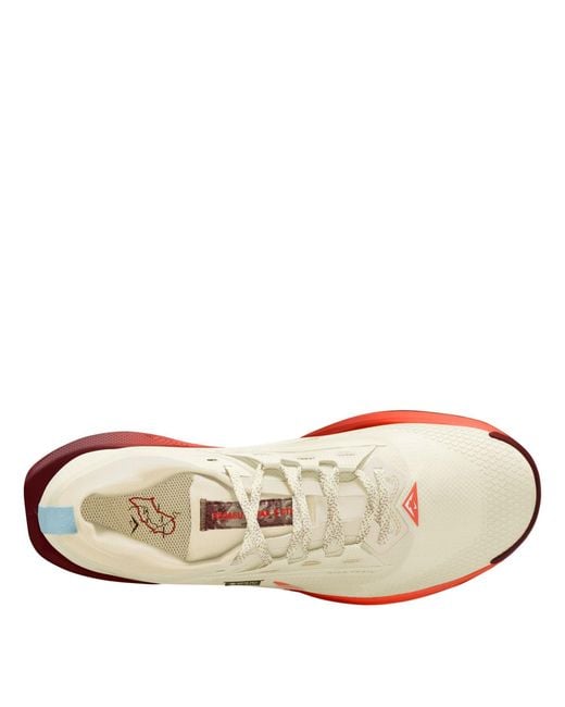 Nike Pink Pegasus Trail 5 Gore-Tex Running Shoes for men