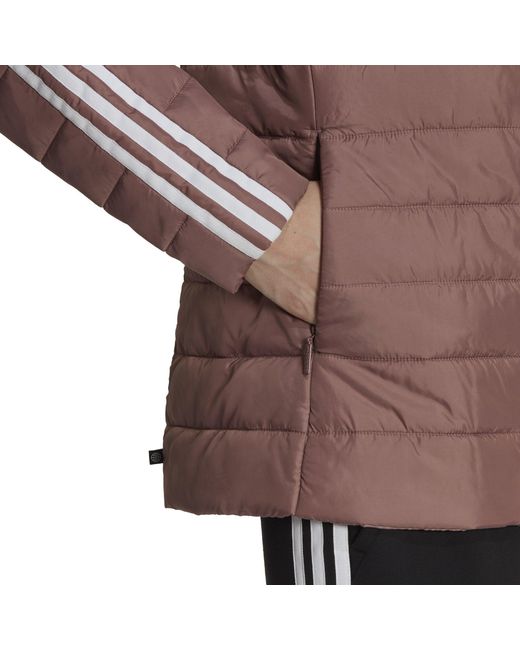 Adidas Originals Brown Premium Slim Hooded Long Sleeve Slim Fit Short Puffer Jacket