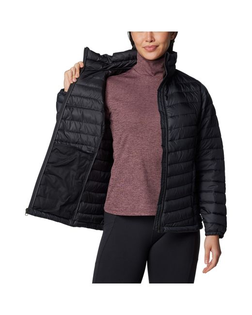 Columbia Black Chestnut Clearing Water-Resistant Lightweight Insulated Puffer Jacket