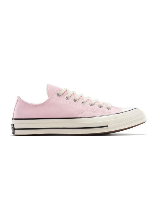 Converse Pink Adults Chuck 70 Canvas Trainers