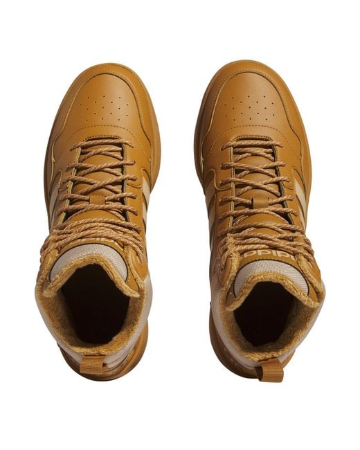 Adidas Brown 3.0 Mid Wtr Low Top Trainers for men