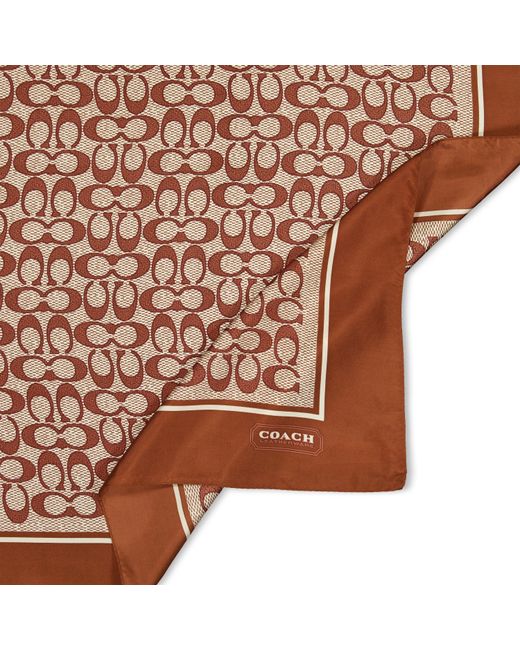 COACH Brown Textured Signature C Printed Silk Square