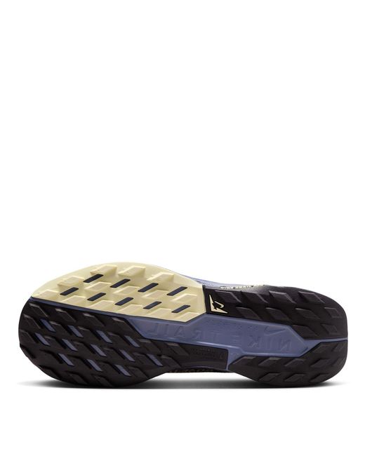 Nike Blue Pegasus Trail 5 Gore-Tex Running Shoes