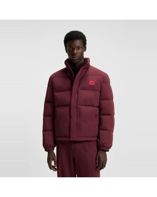 HUGO Purple Short Puffer Jacket for men