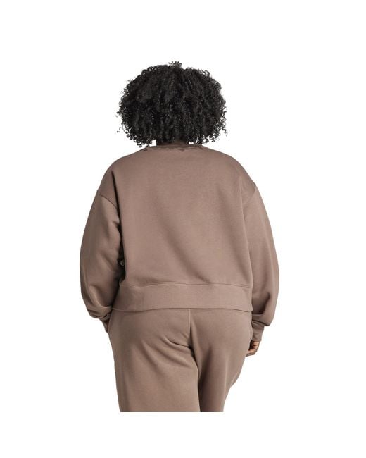 Adidas Originals Brown Adicolor Essentials Crew Sweatshirt (Plus Size)