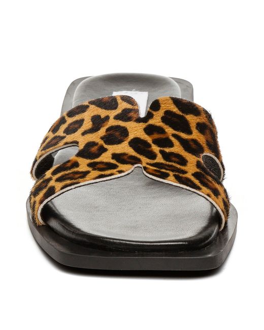 Steve Madden Brown Flat Sandals
