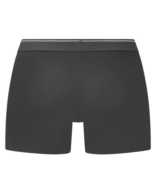 Boss Gray Boxers for men
