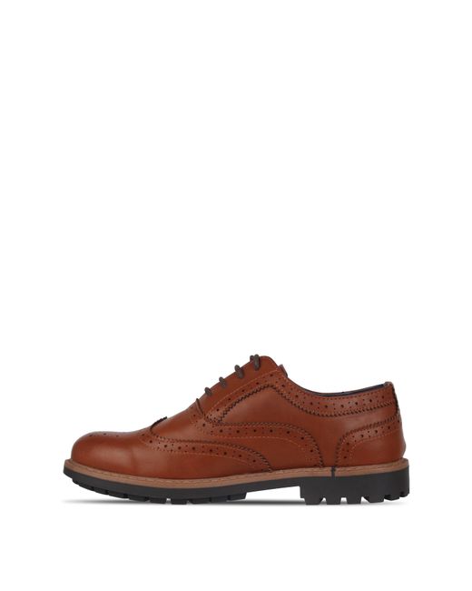 GIORGIO Brown Webster Shoe for men