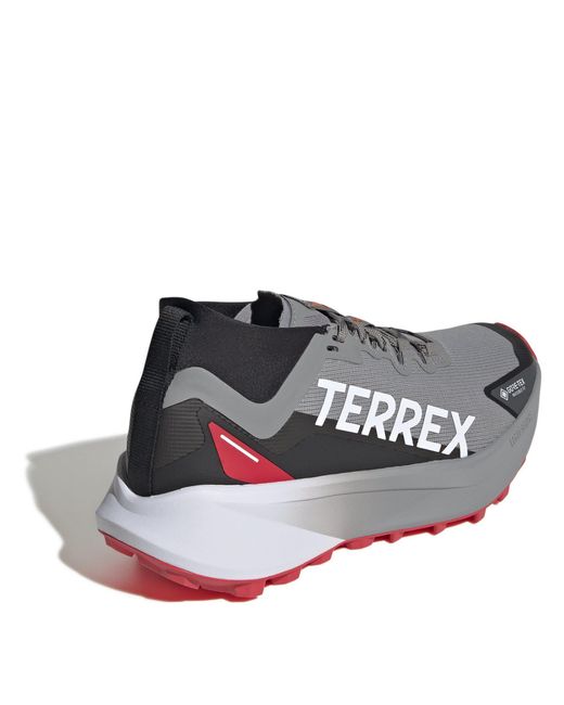 Adidas Blue Terrex Agravic Gtx Trail Running Shoes