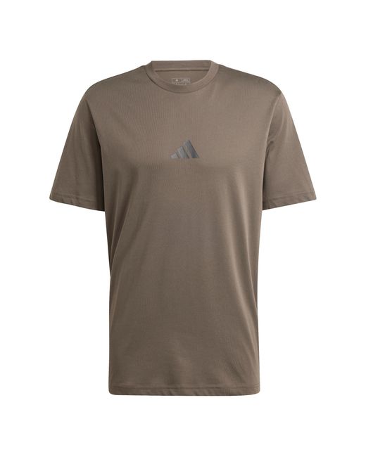 Adidas Gray Strength Graphic T-Shirt for men