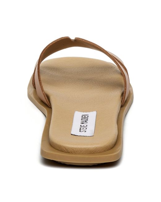 Steve Madden Brown Flat Sandals