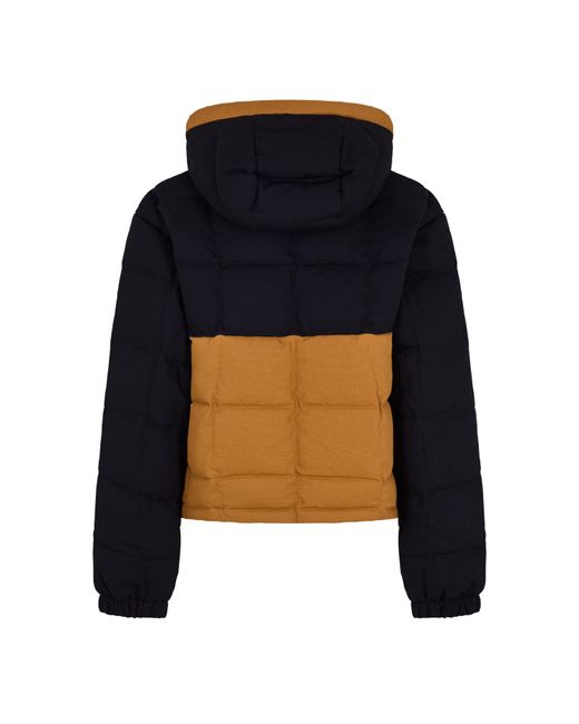 Timberland Blue Puffer Short Puffer Jacket