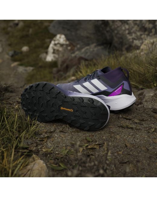 Adidas Blue Terrex Agravic Gtx Trail Running Shoes