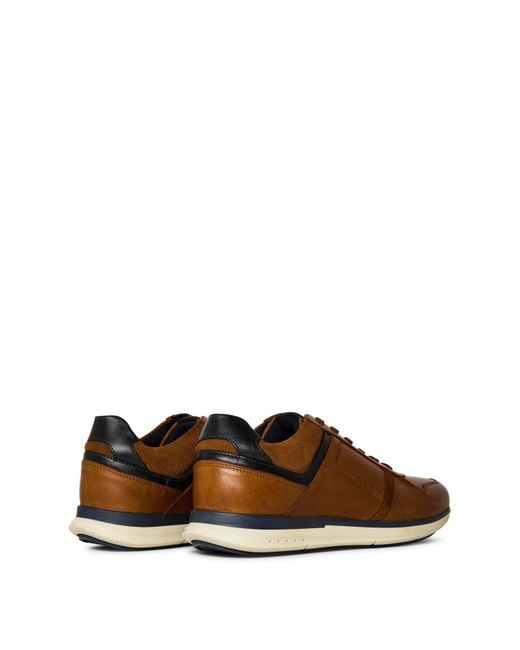 Dune Brown Torben Trainers for men